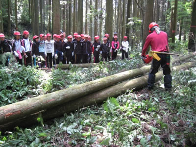 大隅森林組合による間伐実演
