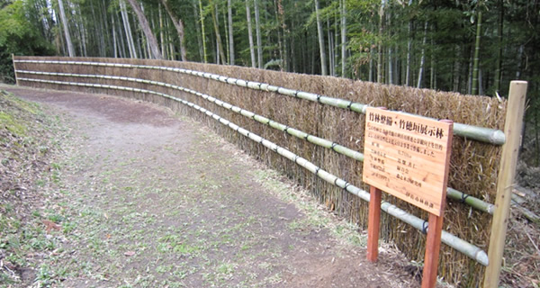 伊佐市忠元公園駐車場横の竹林整備モデル林に設置した竹穂垣