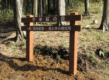 千本桜の森造成記念の木製サイン