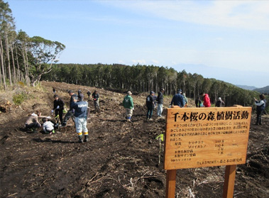 植樹活動の様子と木製看板