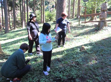 森の中で食材を探します