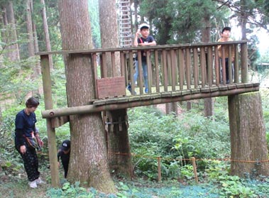 ツリーデッキから何が見える