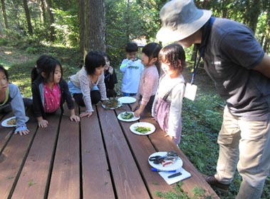 今日のネイチャーゲームは「森のごちそう」です