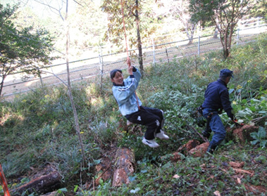 一本ブランコは楽しいな
