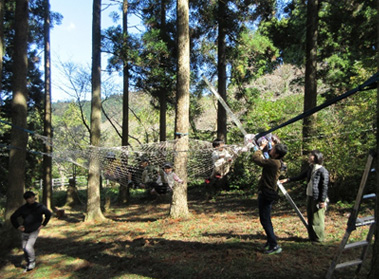 人気の森ネット