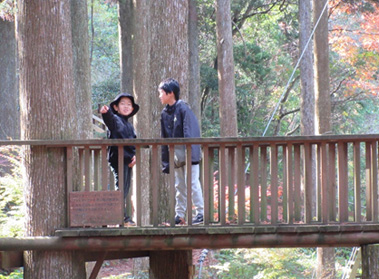 ツリーデッキから何が見えるかな