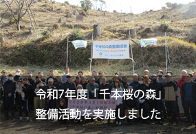 令和7年度「千本桜の森」整備活動を実施しました