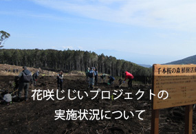 花咲じじいプロジェクトの実施状況について