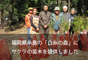 福岡県糸島の「白糸の森」にサクラの苗木を提供しました