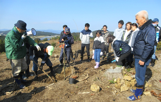 活動のひとつ　植樹方法の説明中（指宿スカイライン千本桜の森）