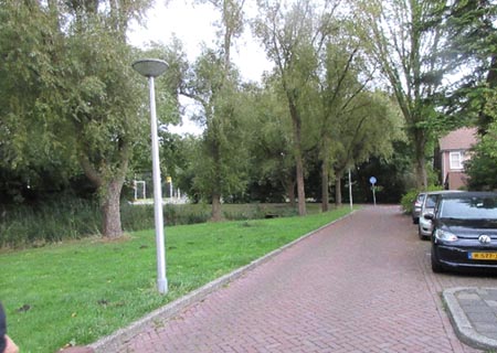 左にクリークがある　　緑が多い