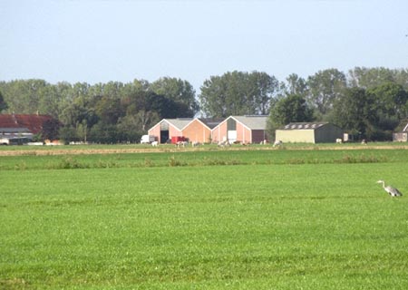 　住宅地近くの牧場